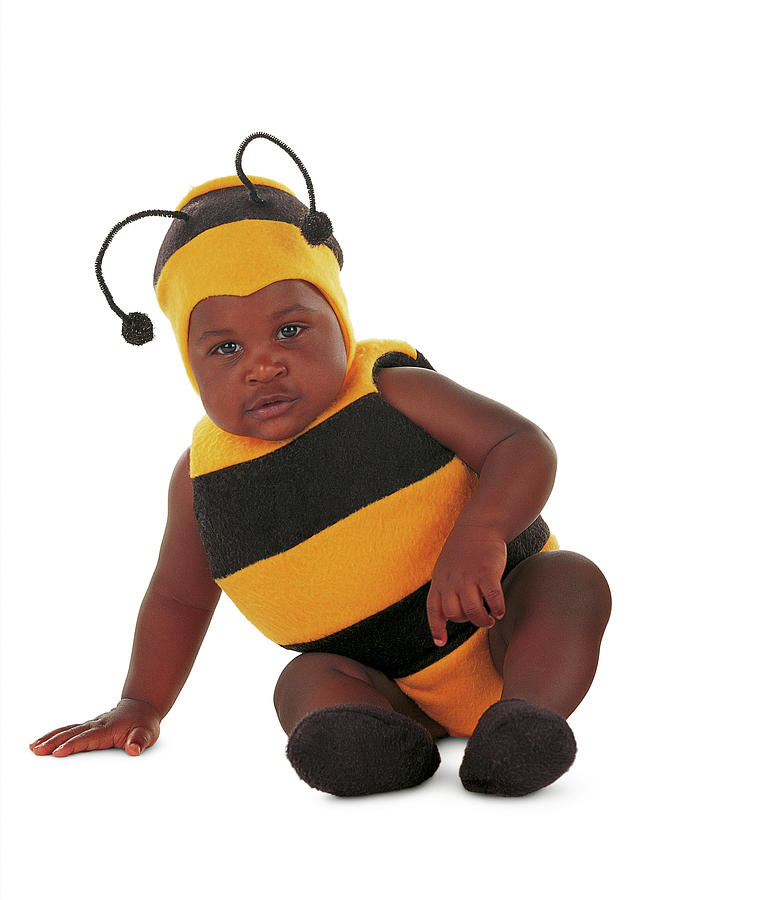 Bee Photograph - Bumblebee #2 by Anne Geddes