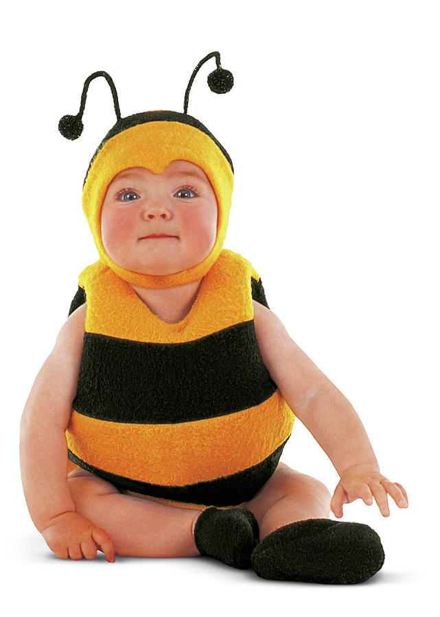 Bumblebee #3 Photograph by Anne Geddes