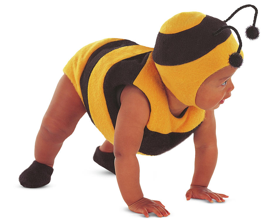 Bumblebee #7 Photograph by Anne Geddes
