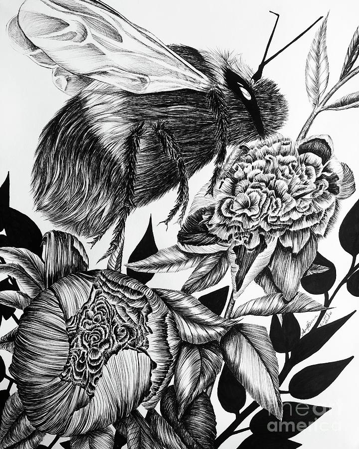 Bumblebee and Peonies Drawing by Mastiff Studios