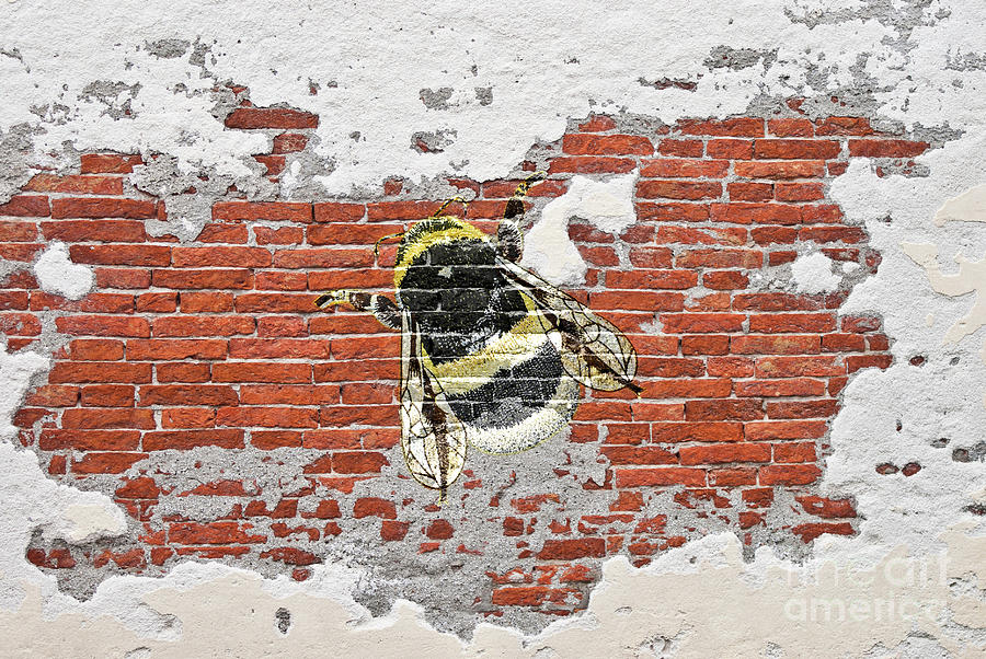 Bumblebee on brick wall Photograph by Pics By Tony