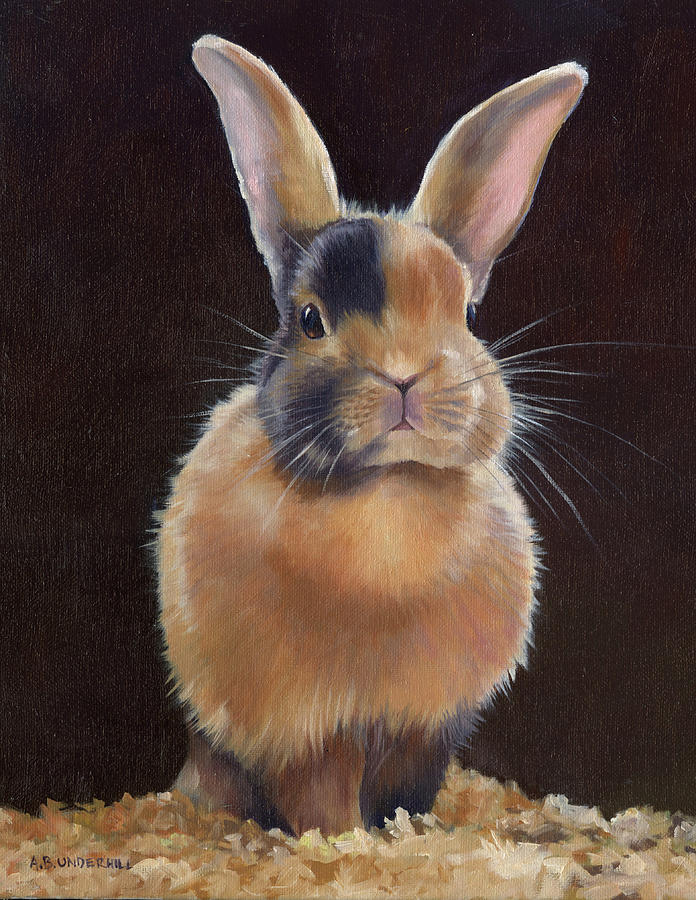 Bun Painting by Alecia Underhill