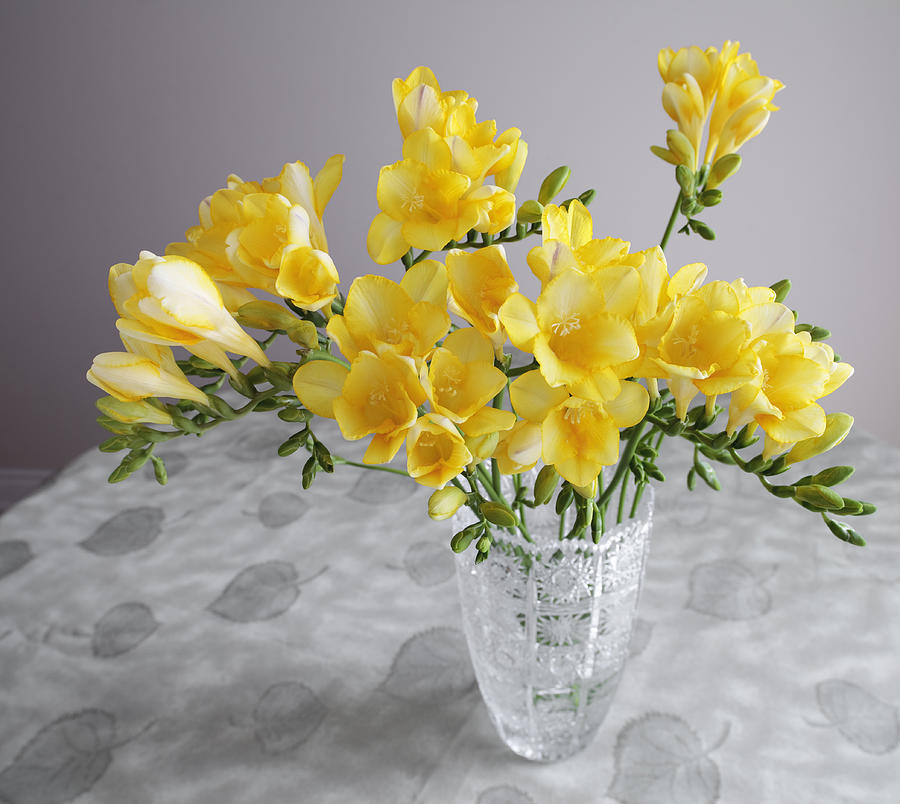 Bunch of freesias in crystal vase Photograph by Igor Kisselev, Www.close-up.biz