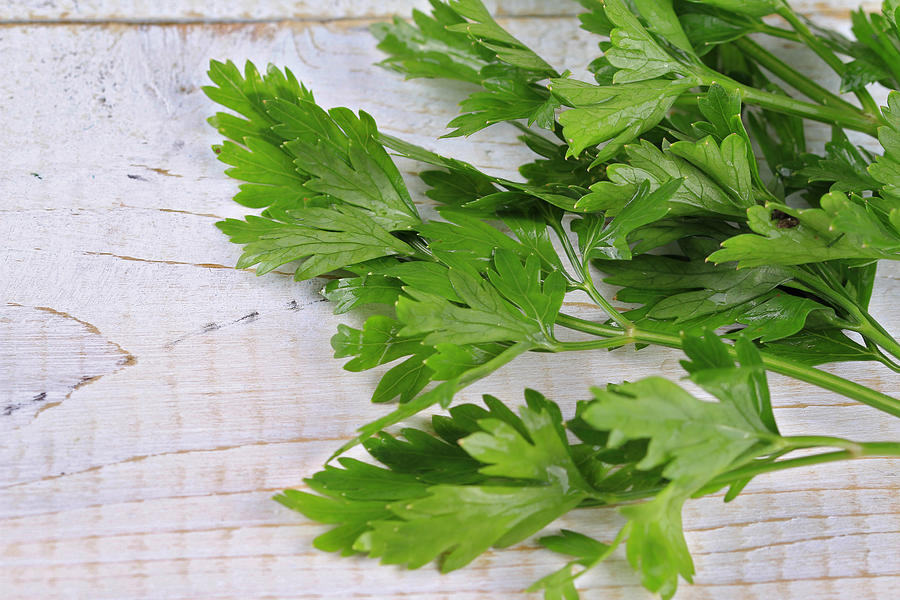 Bunch of Fresh Parsley on White Background. Healthy eating concept Photograph by Albina Gavrilovic