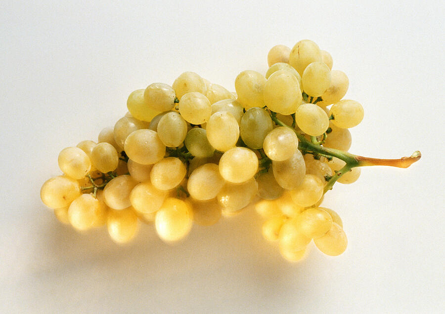 Bunch of green grapes, close-up, white background Photograph by Isabelle Rozenbaum & Frederic Cirou