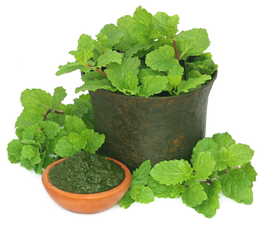 Bunch of mint leaves in a mortar with ground paste Photograph by Bdspn