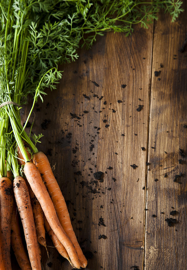 Bunch of Organic Carrots Photograph by GMVozd