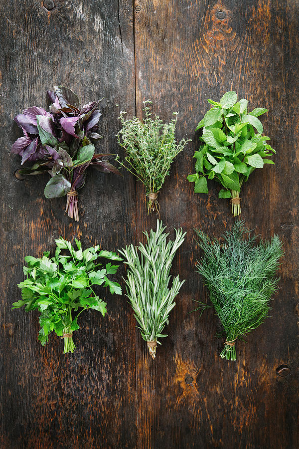 Bunches of fresh herbs Photograph by Eugene Mymrin