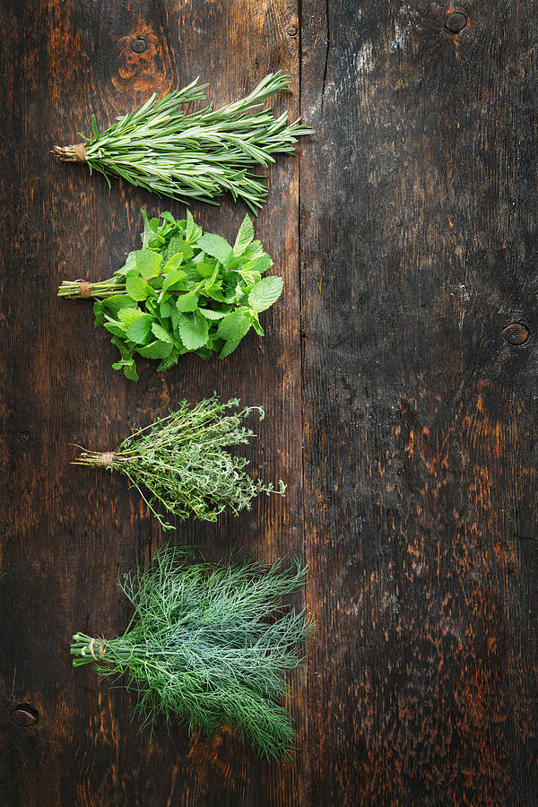 Bunches of fresh rosemary, mint, thyme and dill Photograph by Eugene Mymrin