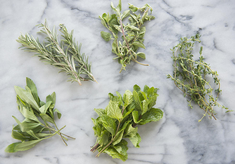 Bunches of various herbs on marble background Photograph by Jamie Grill