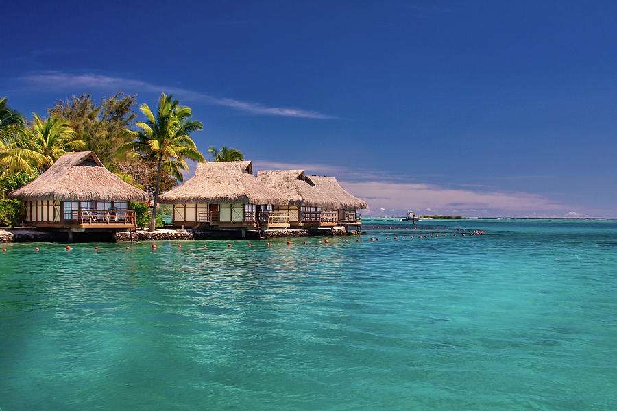 Bungalows in Moorea Photograph by Andreas Funda | Fine Art America