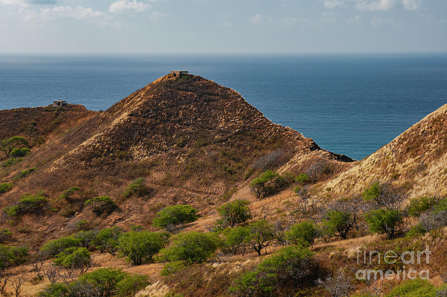 Bunkers at Diamond Head Photograph by Bob Phillips | Pixels