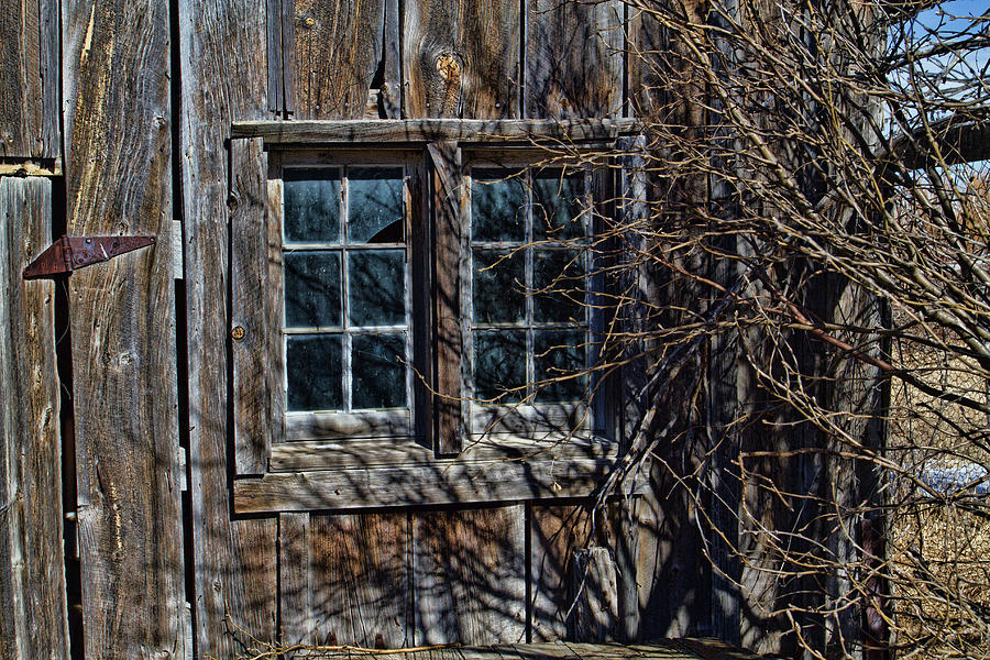 Bunkhouse Windows Photograph