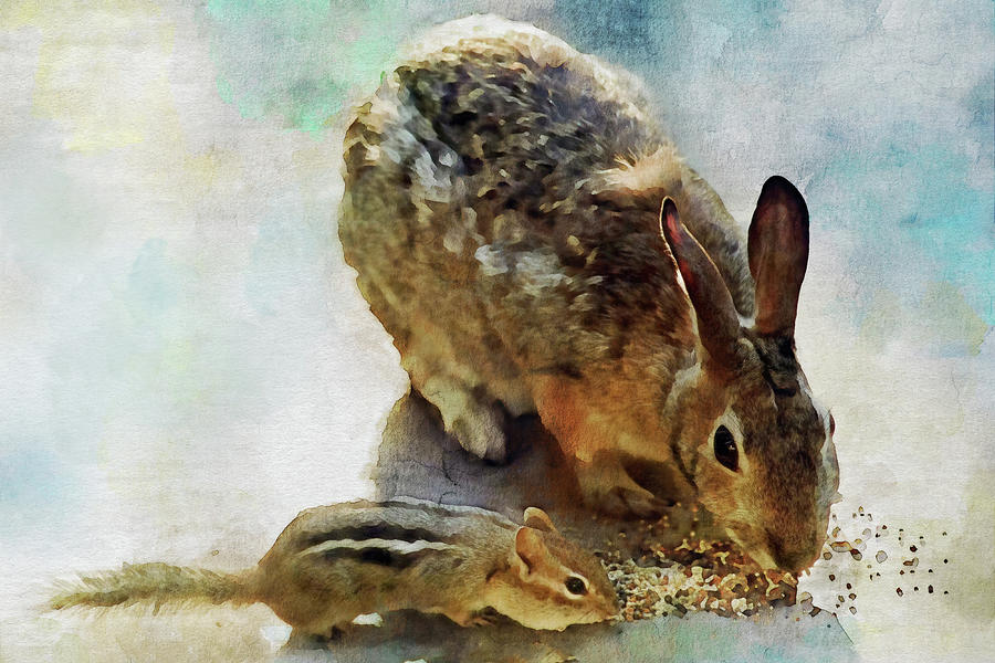 Bunny and Chipmunk Sharing Digital Art by Peggy Collins