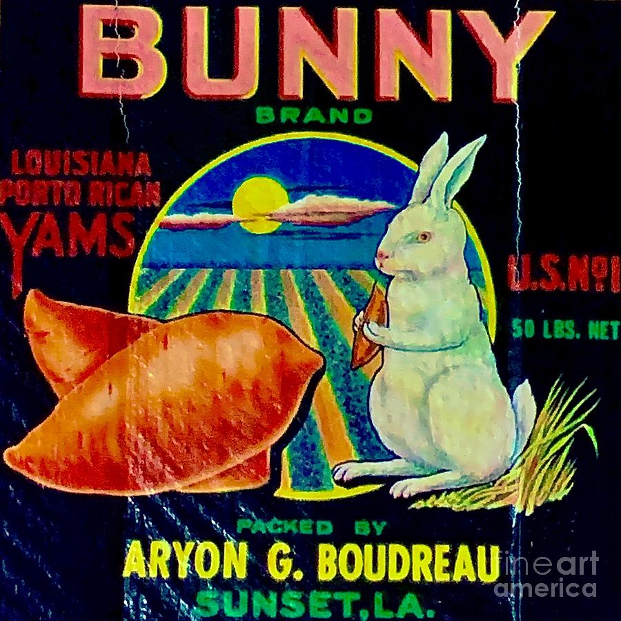 Bunny Brand Yams Photograph
