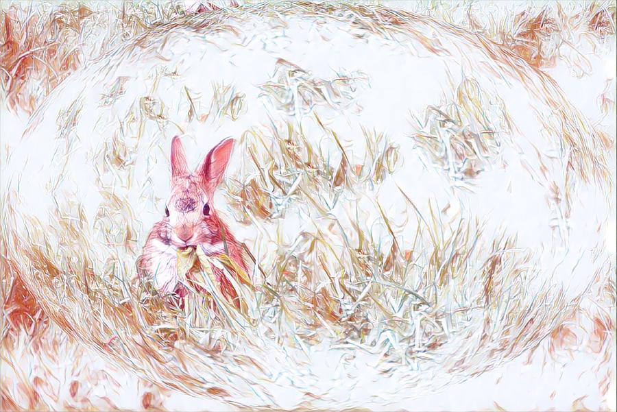 Bunny Eating White Photograph by Diane Lindon Coy