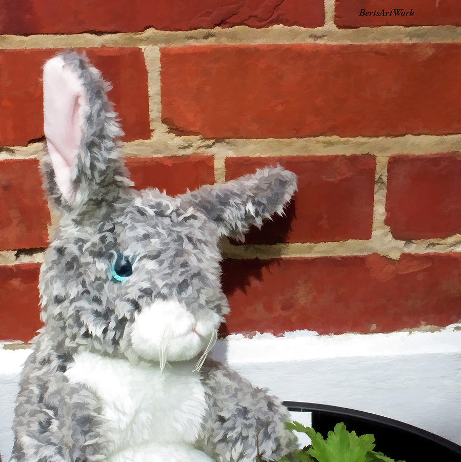 Bunny In A Pot Photograph