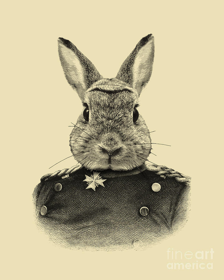 Rabbit Digital Art - Bunny portrait collage by Madame Memento