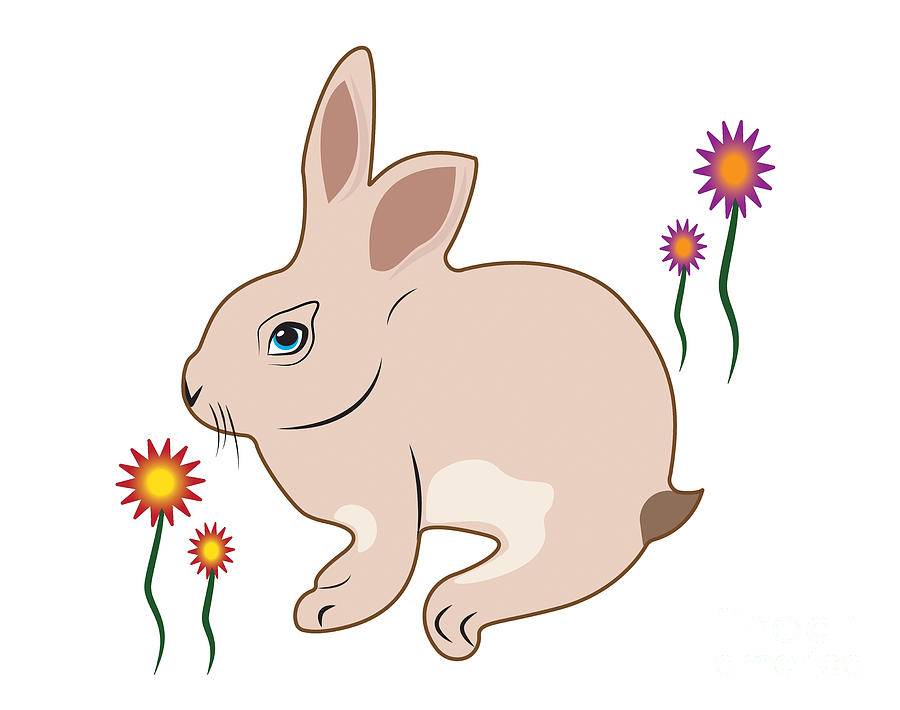 Bunny, Rabbit, DAM Creative,Easter, Digital Art by David Millenheft