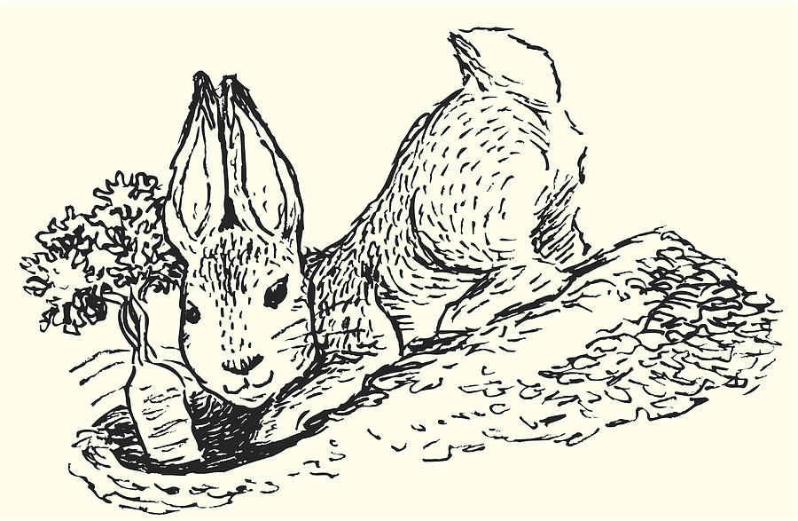 Bunny Rabbit Digging Up Garden Carrot Drawing by KeithBishop