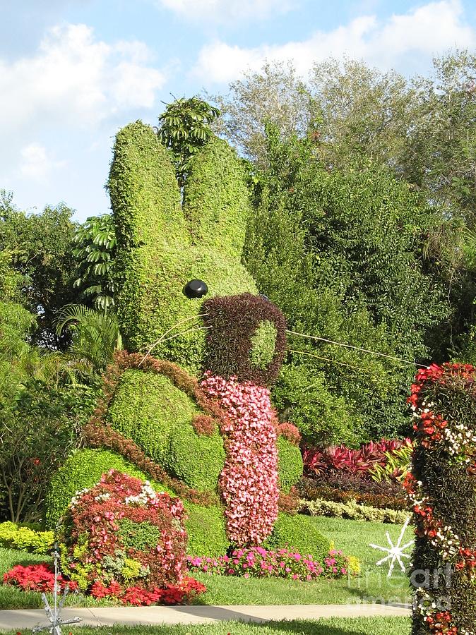 Bunny Topiary Photograph by World Reflections By Sharon
