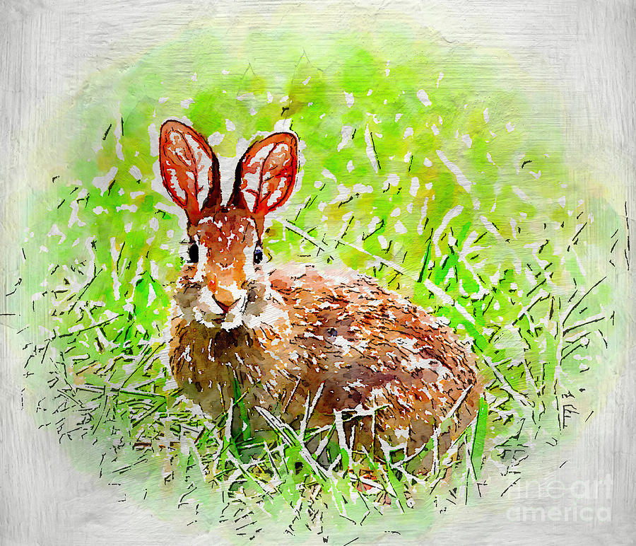 Bunny - Watercolor Art Photograph by Kerri Farley