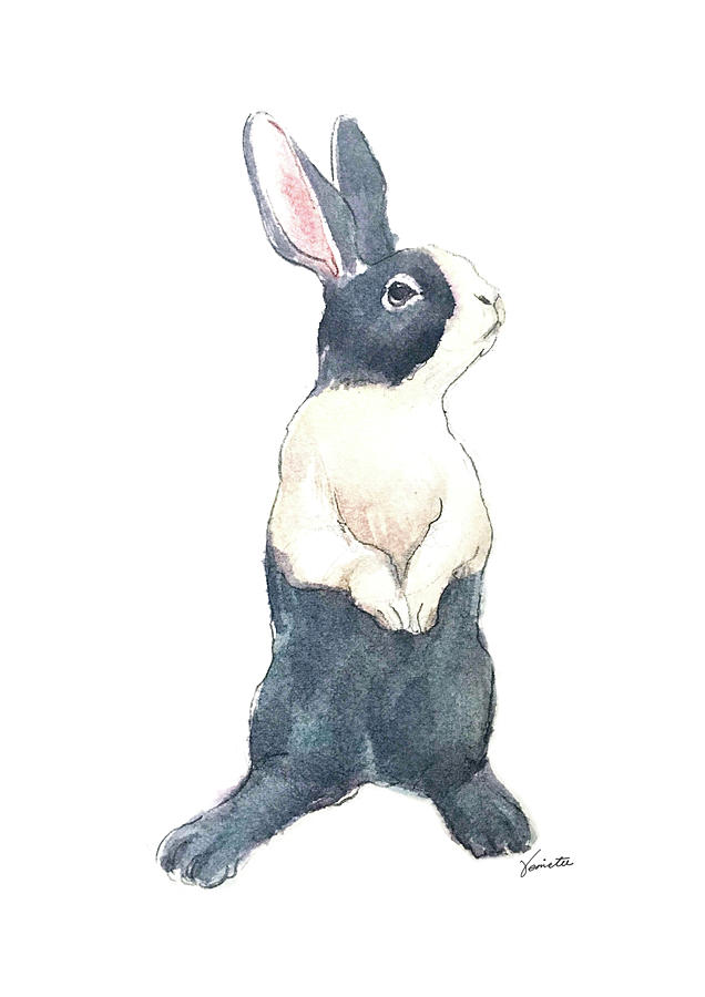Rabbit Drawing - Pippa Bun by Venie Tee