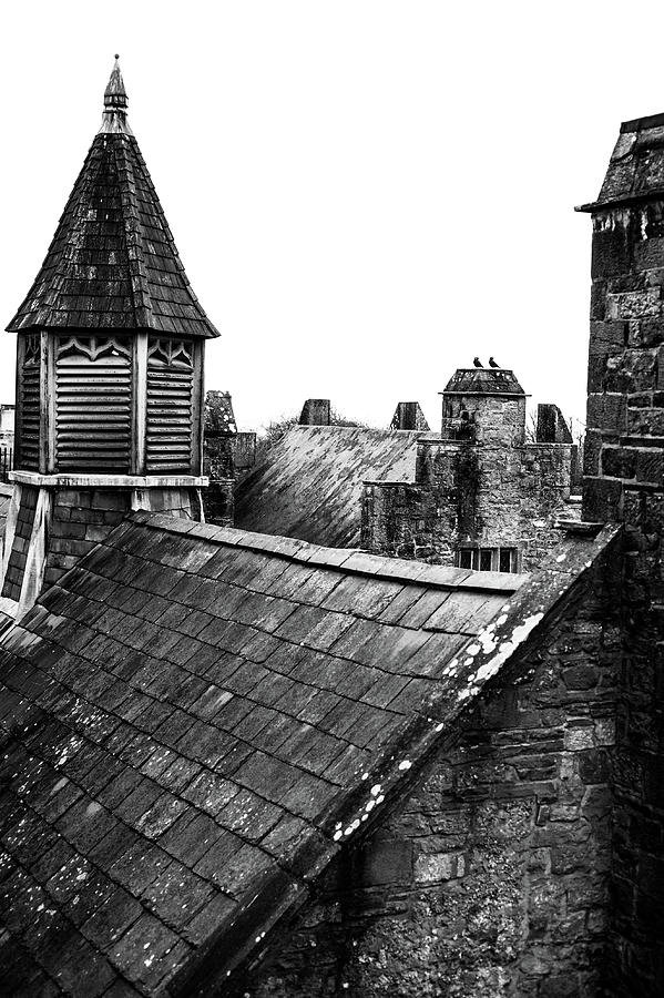 Bunratty Castle Photograph