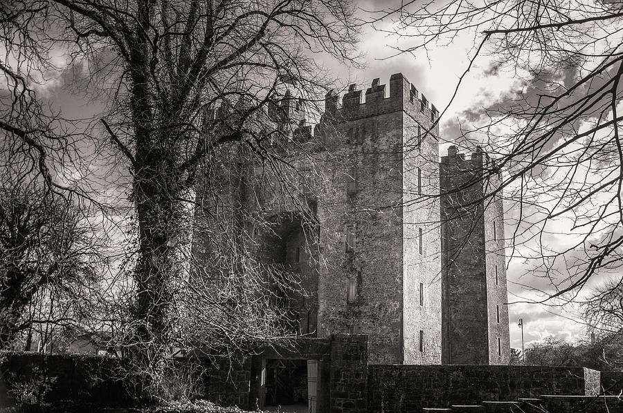 Bunratty Castle Photograph by Rob Hemphill