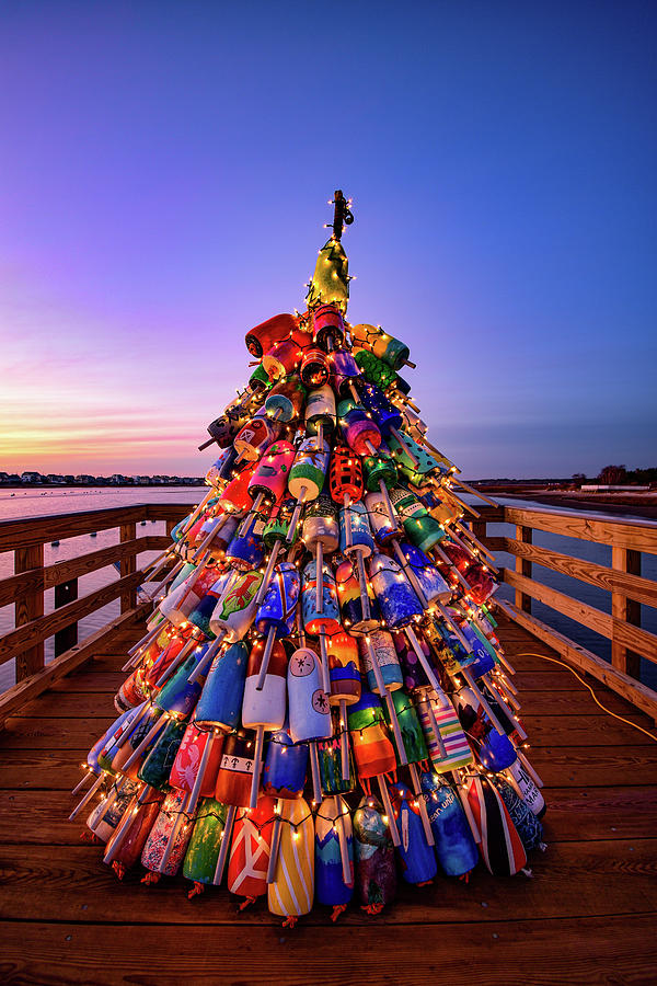 Buoy Tree Photograph by Ashley Kubik | Fine Art America