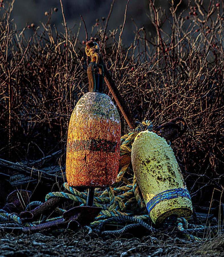 Buoys Anchor And Rope Photograph by Marty Saccone