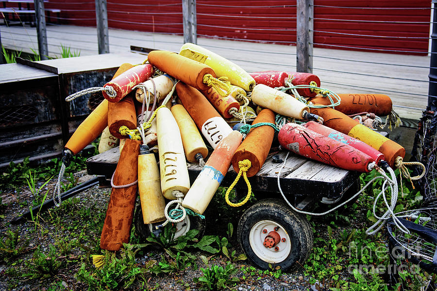 Colorful Buoys Collection Photograph