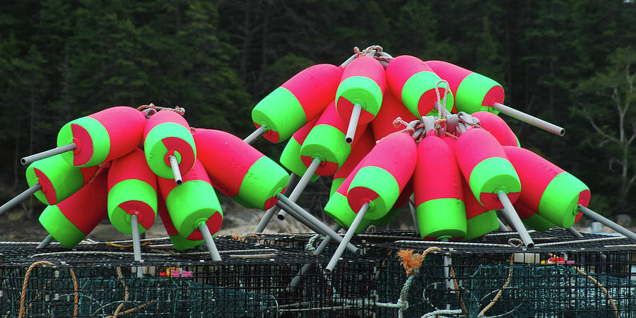 Buoys, Bunkers Harbor, Maine Photograph by Jerry Griffin