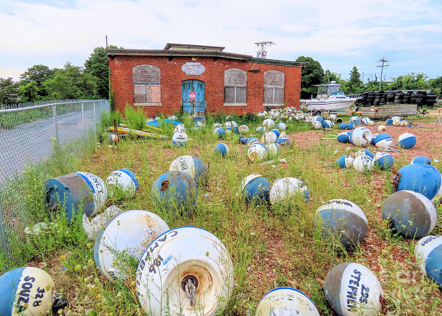 Buoys on the ground Photograph by Janice Drew