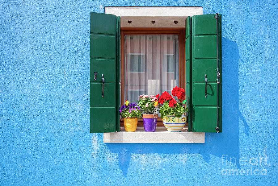 Burano flower pots, Italy Photograph by Neale And Judith Clark
