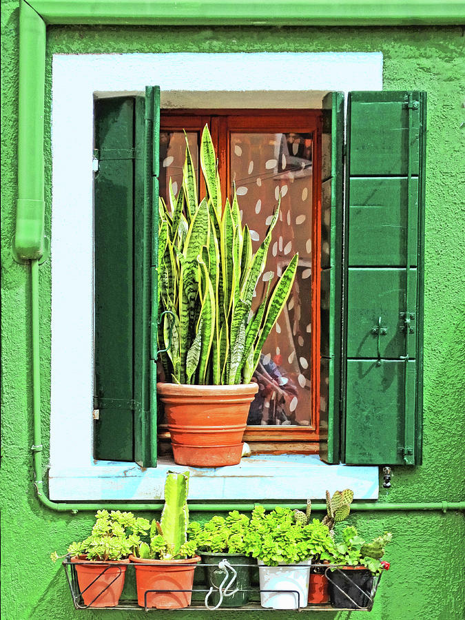 Burano Window Box Photograph by Dominic Piperata
