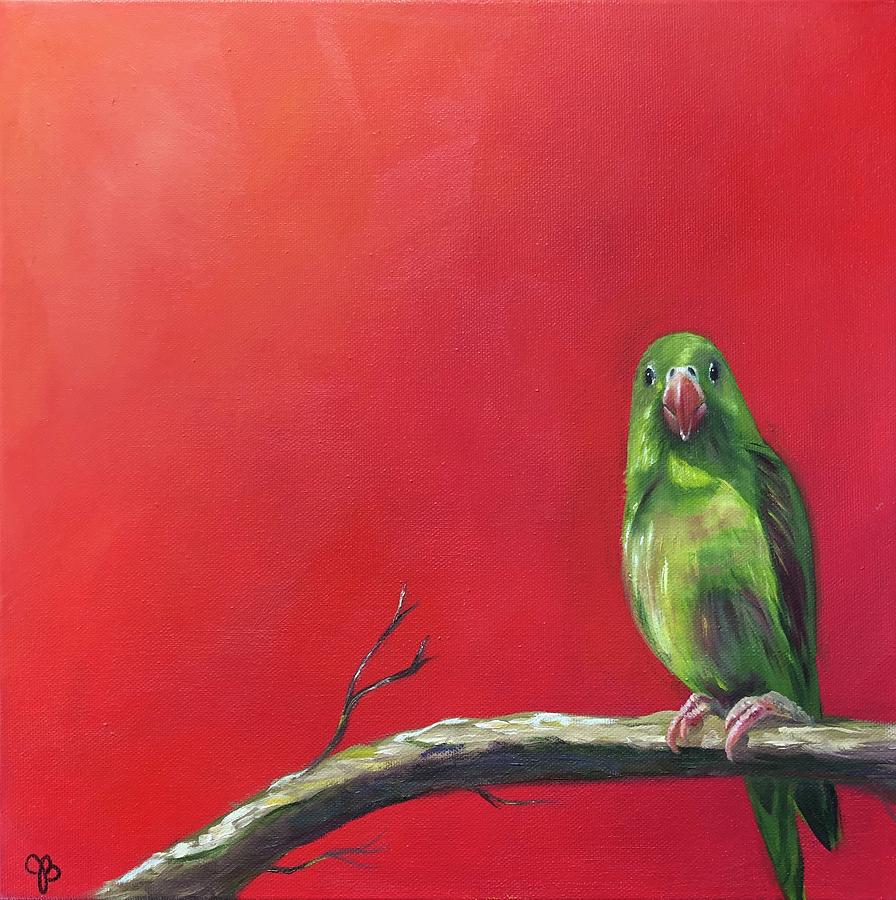 Burbank Parrot Painting by Jamie Butterworth - Fine Art America