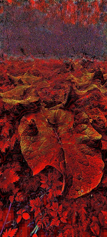 Burdock Leaf. Digital Art