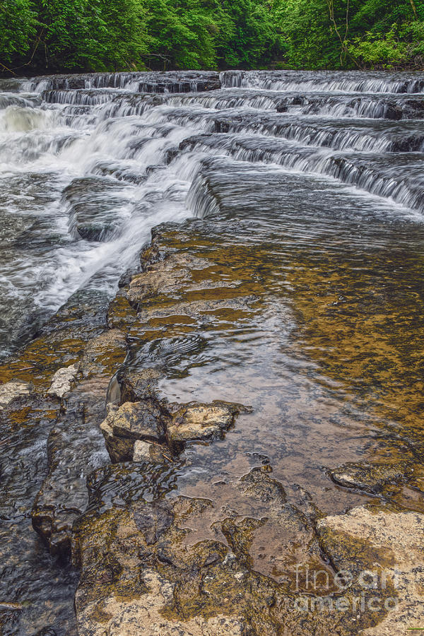 Burgess Falls 1 Photograph by Phil Perkins