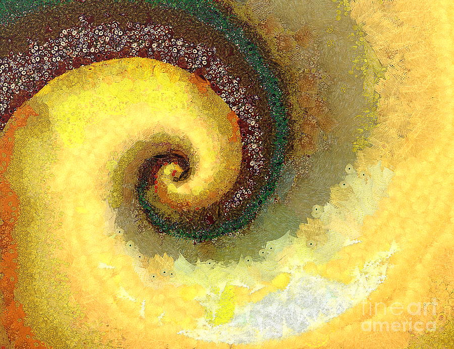 Burgundy and Cream Painterly Nautilus Photograph by Sea Change Vibes