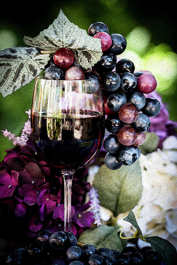 Burgundy Wine, Kiss of Grape Photograph by Vanessa Thomas