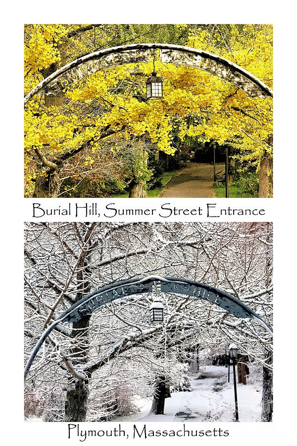 Burial Hill Summer St Entrance Collage  Photograph by Janice Drew