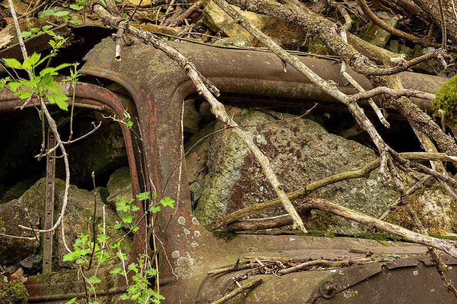 Buried Old Cars 2 B Photograph
