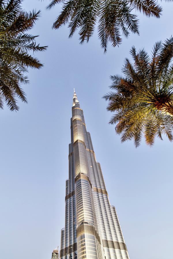 Burj Khalifa Palm Trees Photograph by David Pyatt - Fine Art America