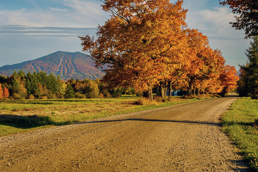 Burke Mountain From Sugarhouse Road During Fall Foliage Season Photograph by John Rowe