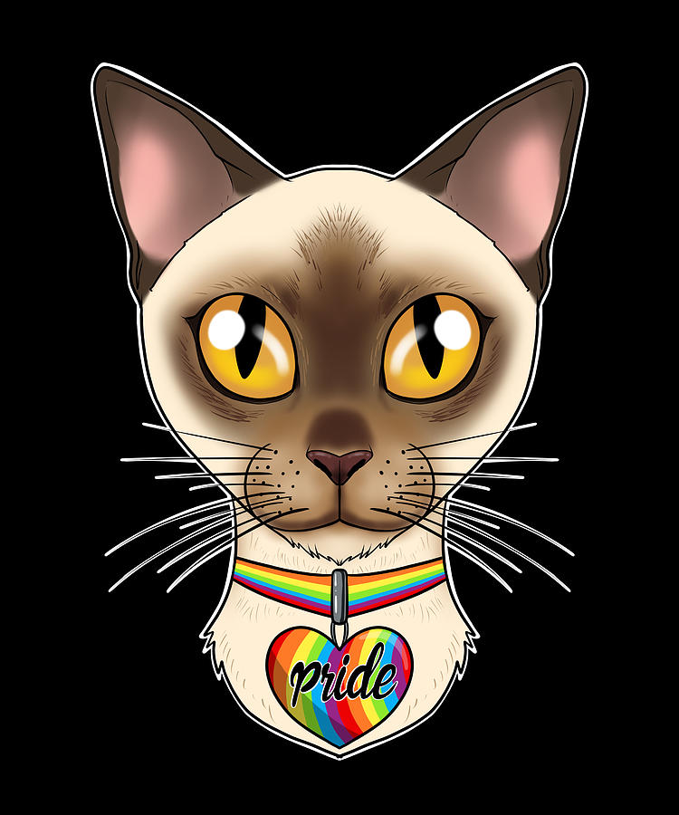 Burmese Cat Lgbtq Flag I Gay Pride Flag Digital Art By Maximus Designs Fine Art America 8231