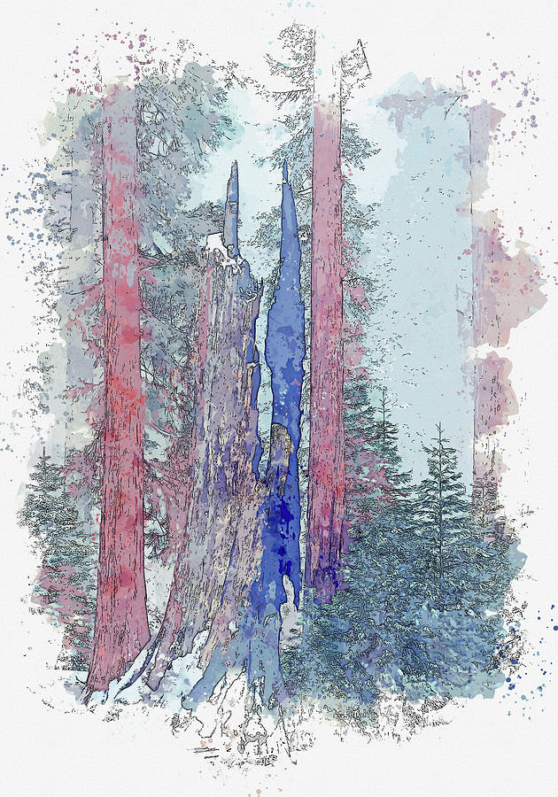 Sequoia National Park Painting - Burned Sequoia  by Celestial Images