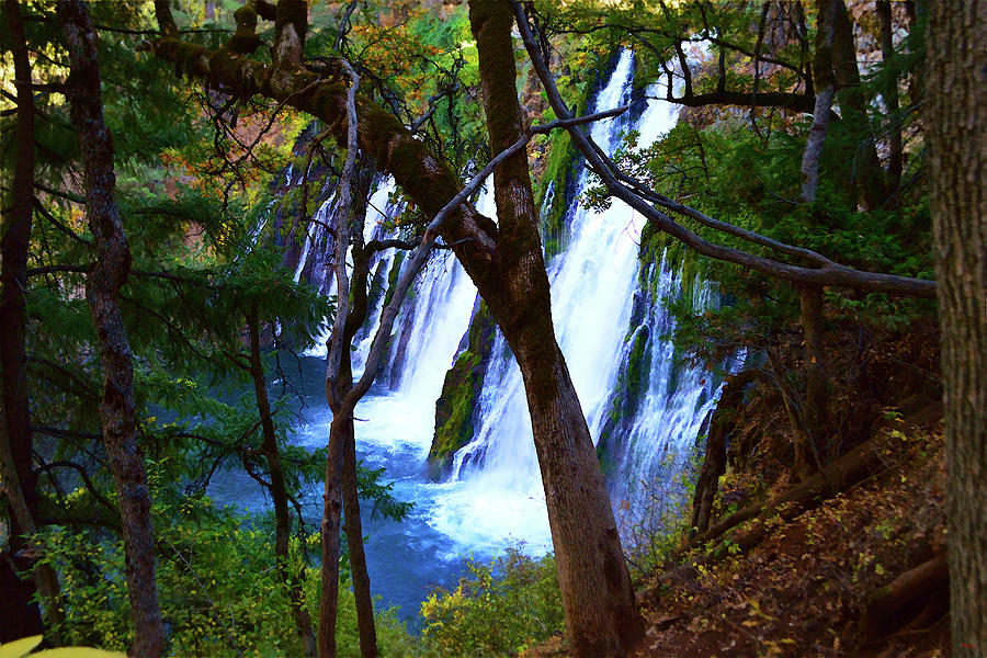 Burney Falls From The Trail Photograph