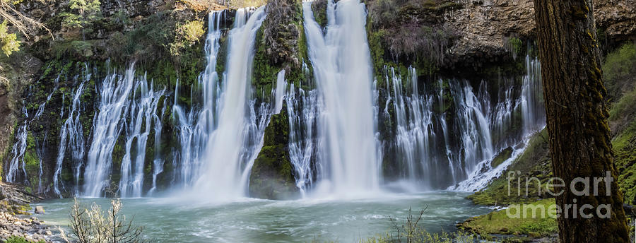 Burney Falls Panorama Photograph by Suzanne Luft