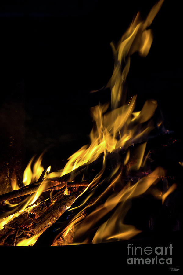 Burning Campfire Photograph by Jennifer White